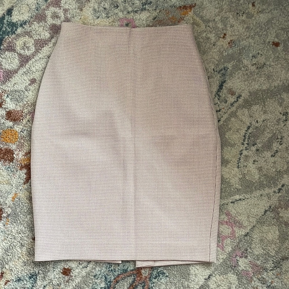 Express Pencil Skirt